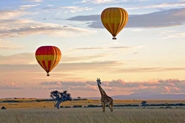 Balloon Safari